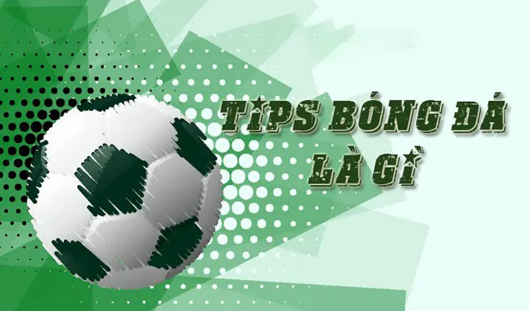 Tip bóng đá là gì