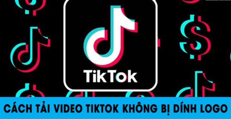TikTok downloader video