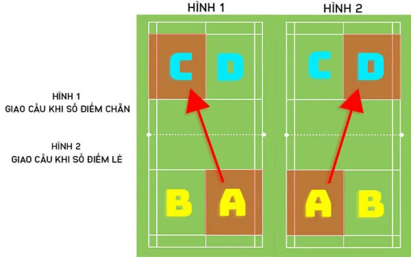 tim hieu luat cau long moi nhat theo chuan bwf tu co ban den nang cao