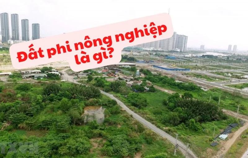 dat phi nong nghiep la gi