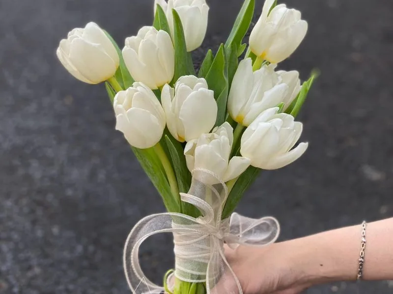 hoa tulip trang co y nghia gi giai ma nhung thong diep dac bie