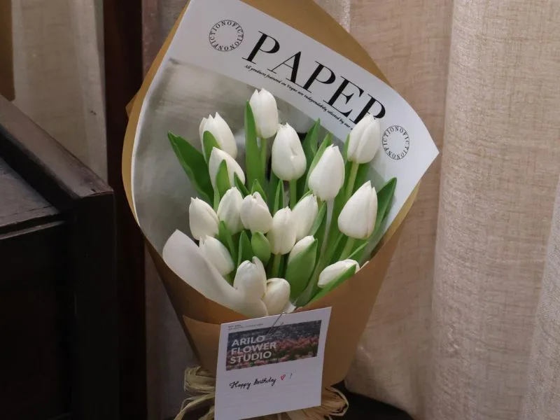 hoa tulip trang co y nghia gi giai ma nhung thong diep dac bie