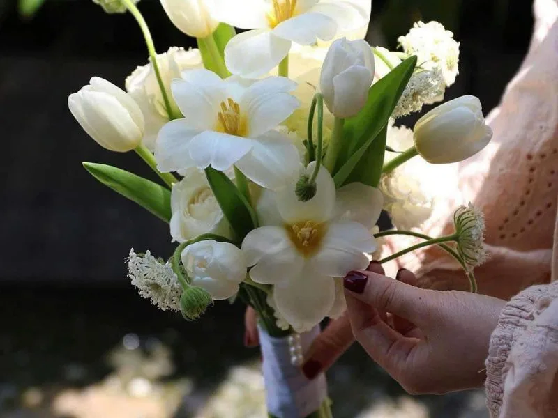 hoa tulip trang co y nghia gi giai ma nhung thong diep dac bie