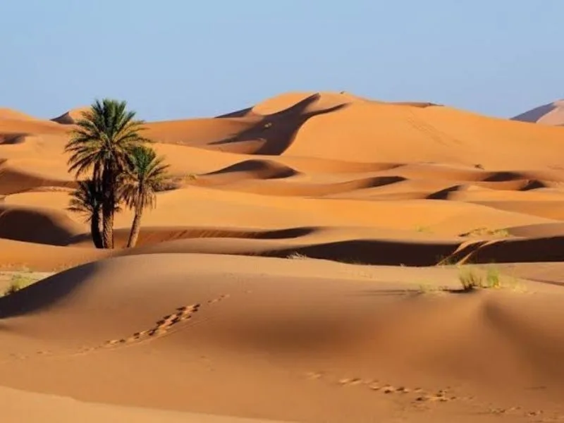sa mac sahara o dau kham pha vung dat rong lon giua long chau phi