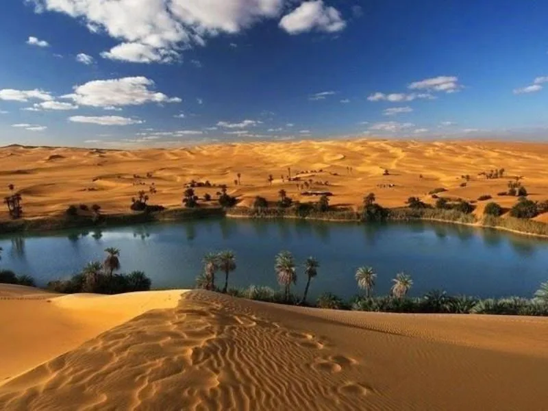 sa mac sahara o dau kham pha vung dat rong lon giua long chau phi