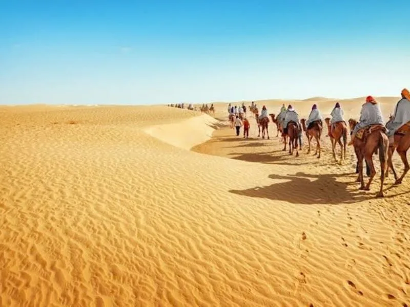 sa mac sahara o dau kham pha vung dat rong lon giua long chau phi